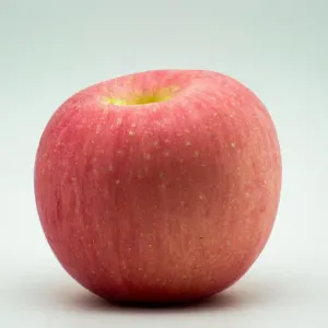 czy warto kupić pralko suszarkę